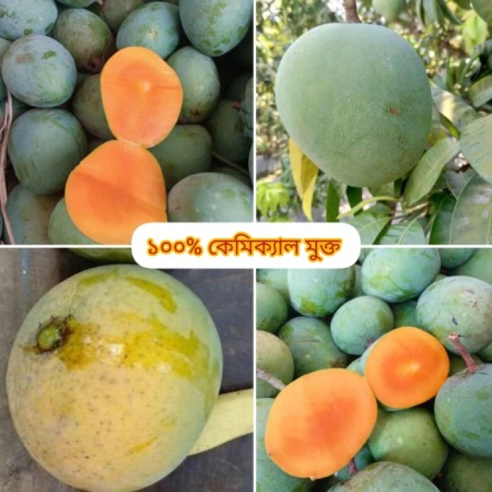 10 কেজি গোবিন্দভোগ আম 145 টাকা করে 1450 টাকা