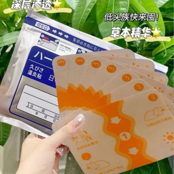 Japanese Back Pain Relief Patches