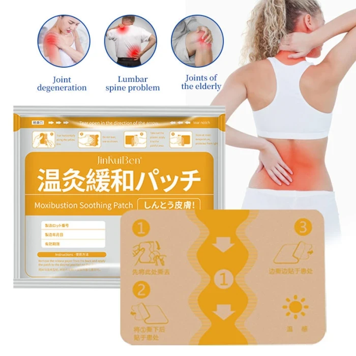 3 Packet 21 Pcs Japanese Back Pain Relief Patches